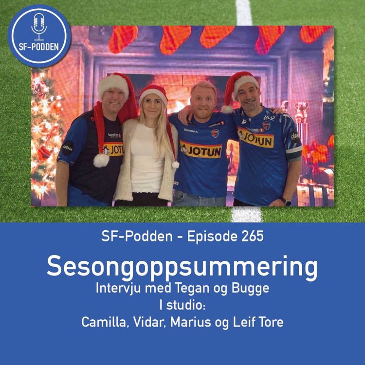 cover art for Episode 265 - Sesongoppsummering