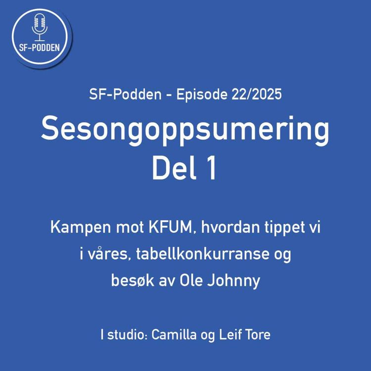 cover art for Episode 22 - Sesongoppsummering del 1