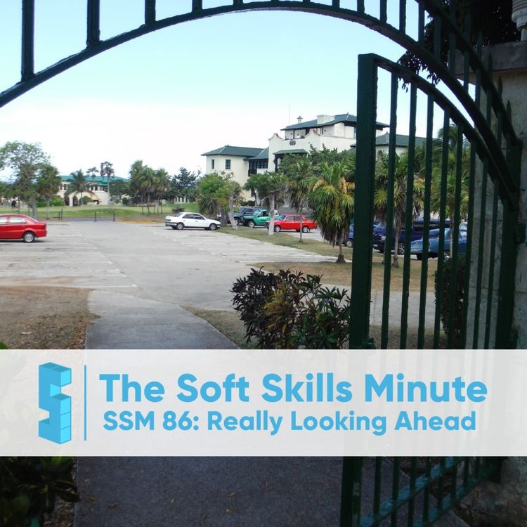 cover art for SSM 86: Better To Look Ahead