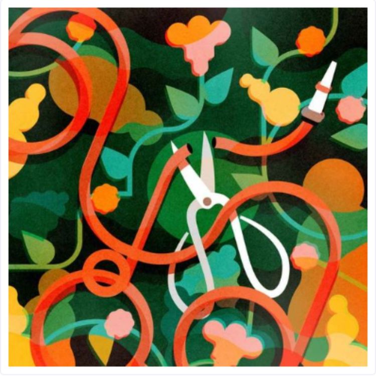 cover art for [REDIFFUSION] Dans la vie de Gabriel, qui a fait le choix de la vasectomie