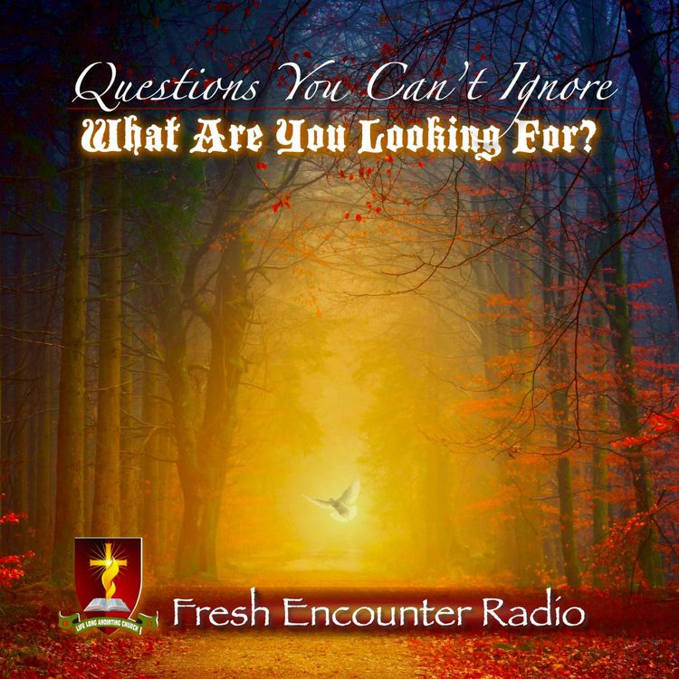 cover art for Questions You Can’t Ignore  - Ep292