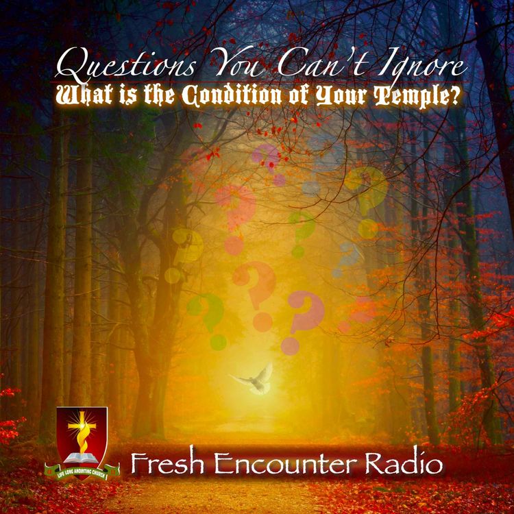 cover art for Questions You Can’t Ignore, Part-2