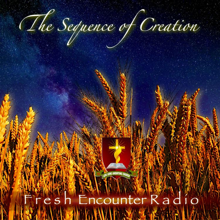cover art for The Sequence of Creation