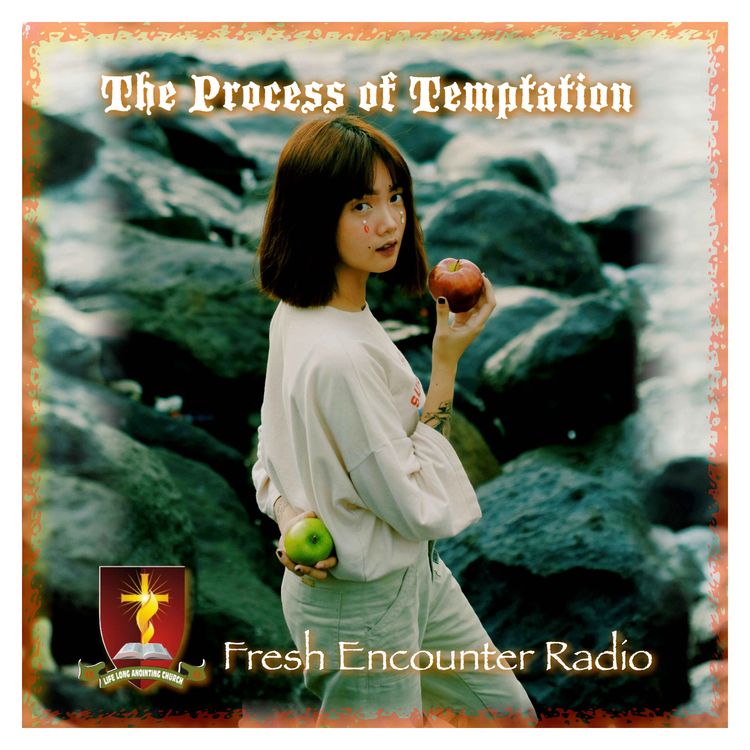 cover art for The Process of Temptation