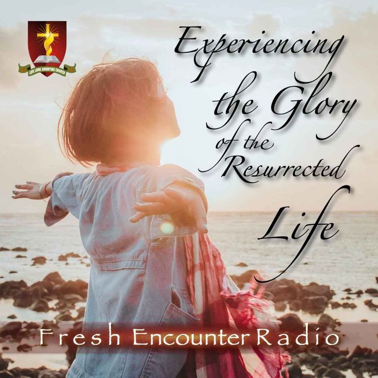 cover art for The Need For The Cross