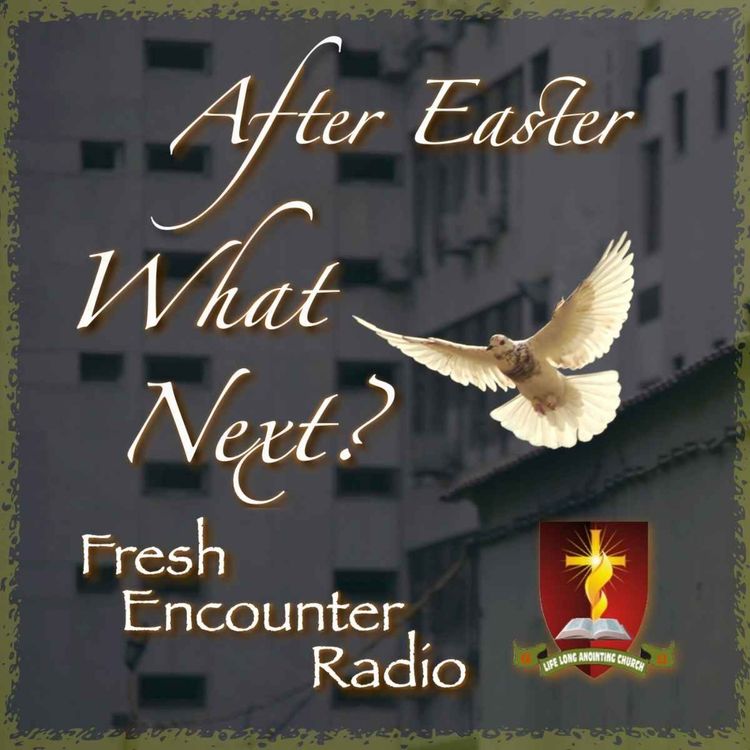 cover art for The Need For The Cross