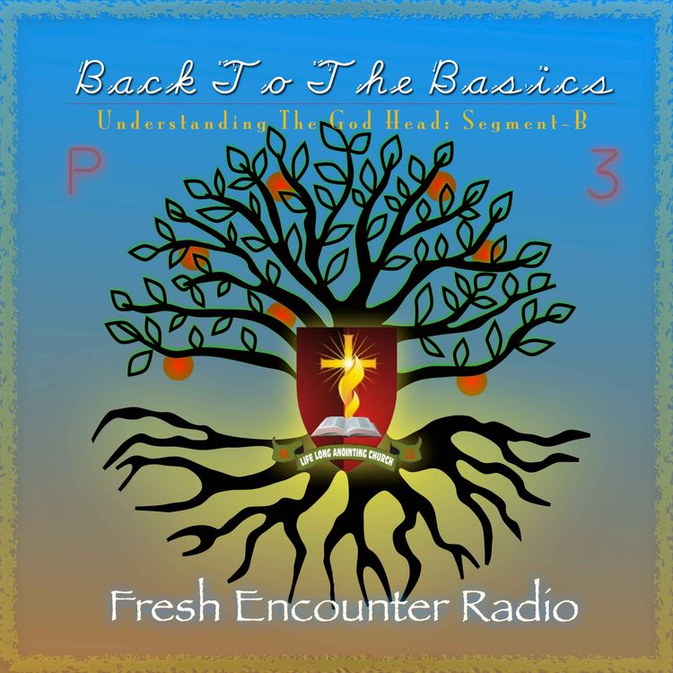 cover art for Back To Basics, Part-3b of 4