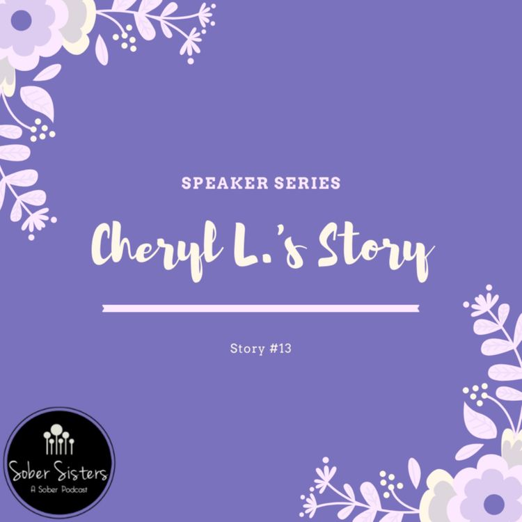 cover art for Speaker Series - Story #13