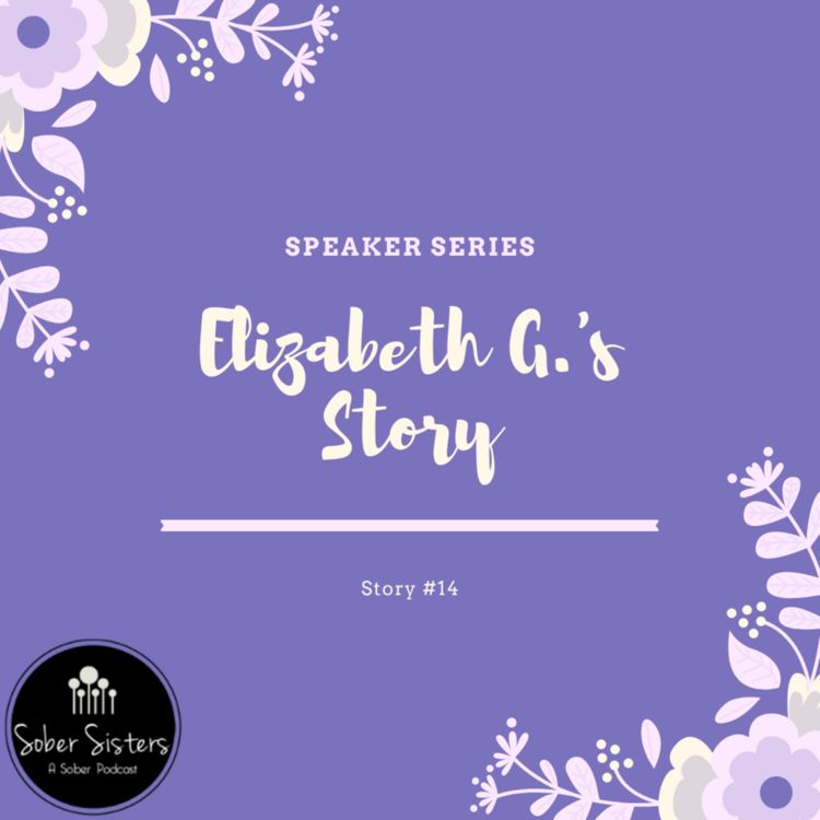 cover art for Speaker Series - Story #14