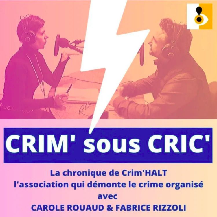 cover art for CRIM' sous CRIC' : Le crime organisé 3.0 ou le bel avenir du cybercrime