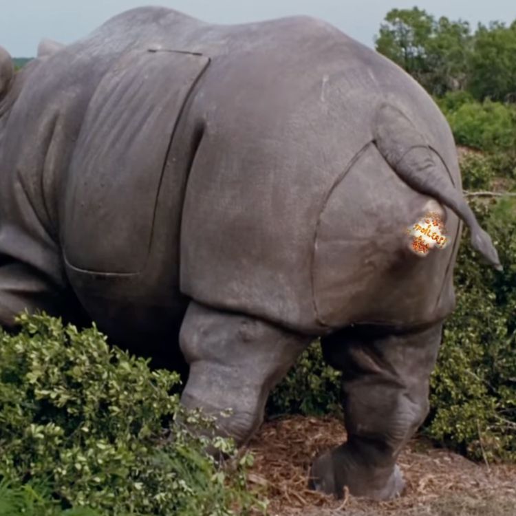 cover art for Ace Ventura: When Nature Calls (1995) - Spoilers! #468