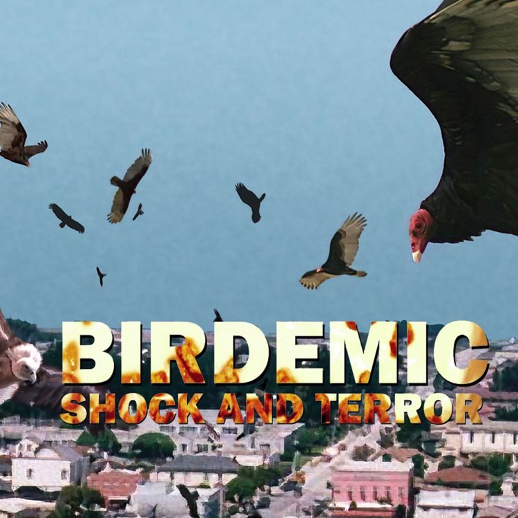 cover art for Birdemic: Shock and Terror (2010) - Spoilers! #481