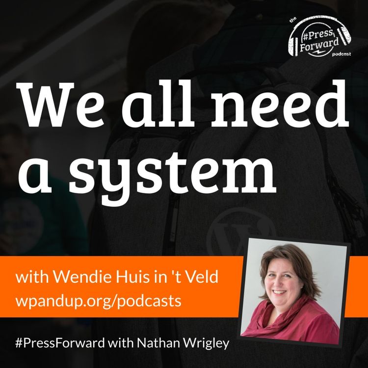 cover art for We all need a system