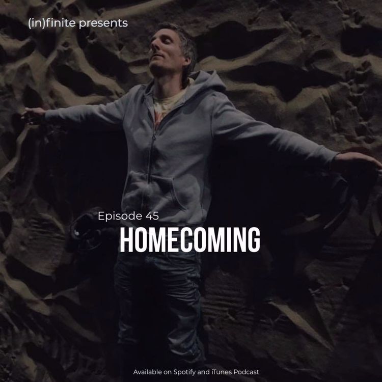 cover art for (in)045 - Homecoming