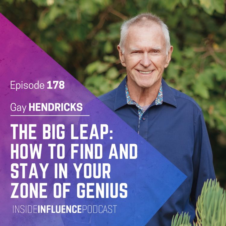 cover art for POWERCUT: Gay Hendricks - THE BIG LEAP: HOW TO FIND AND STAY IN YOUR ZONE OF GENIUS