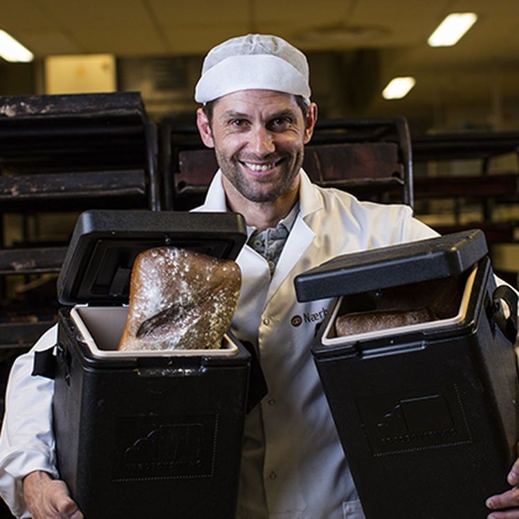 cover art for Brødboksen ga opp, forretningsutviklere du bør ansette og trappetrinnsmodellen man bør være bevisst på.