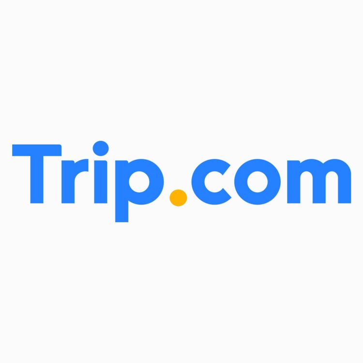 cover art for Pocket-Sized Travel Companion