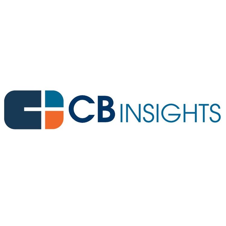 cover art for A Chubby Brain for Big Data