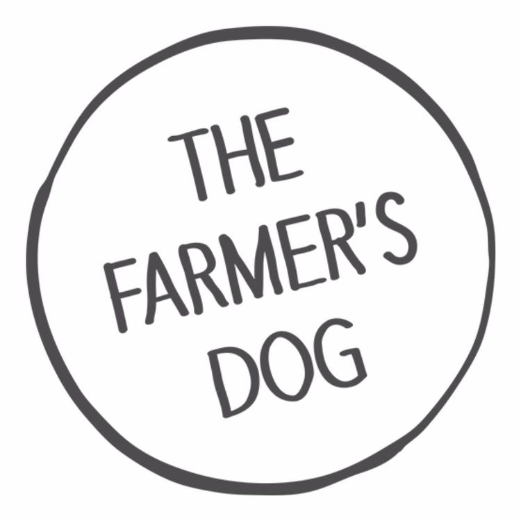 cover art for Real Food for Real Dogs