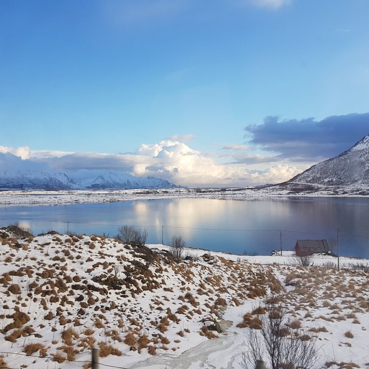 cover art for Les pouvoirs de la gratitude avec Florence Servan-Schreiber
