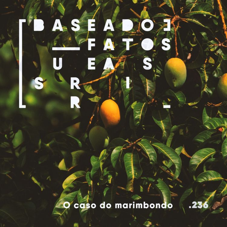 cover art for O caso do marimbondo