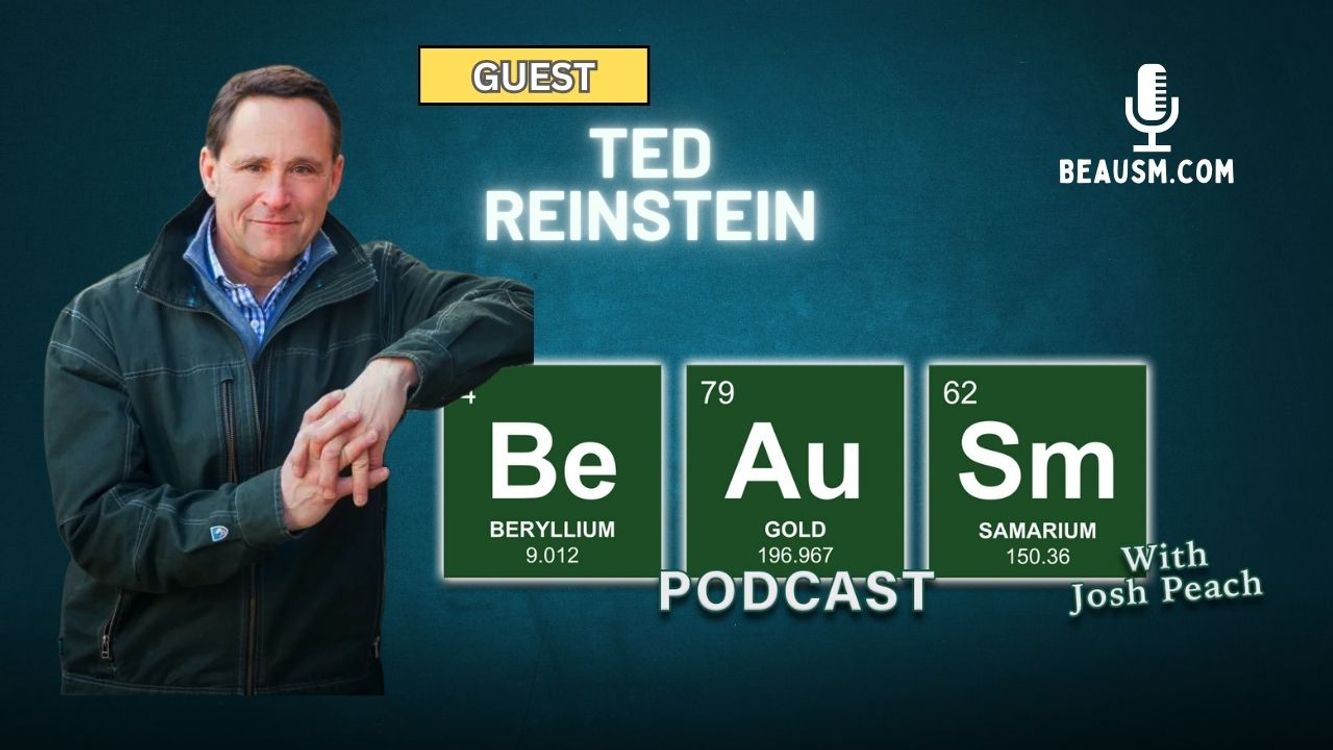 cover art for You Never Sausauge a Place With Ted Reinstein