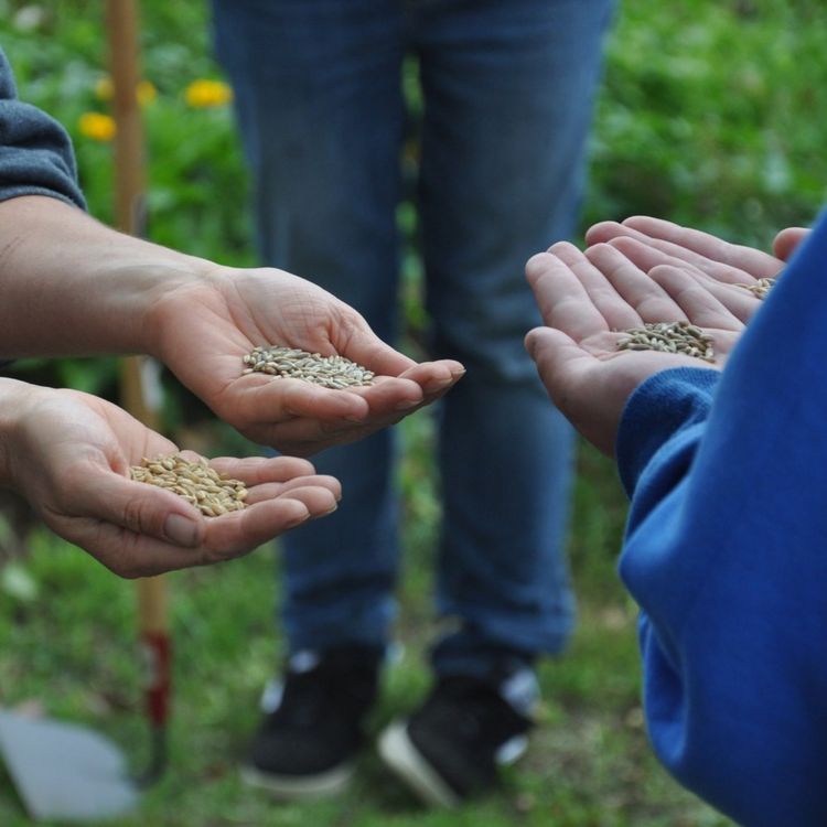 cover art for Episode 461 Ian Toews - Ageless Gardens