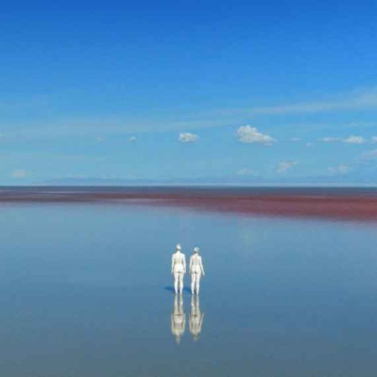 cover art for Metamorphosis - Velcrow Ripper and Nova Ami