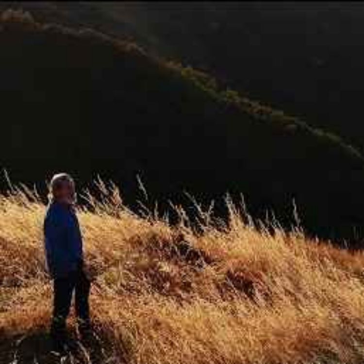 cover art for Living in the Future's Past - Susan Kucera