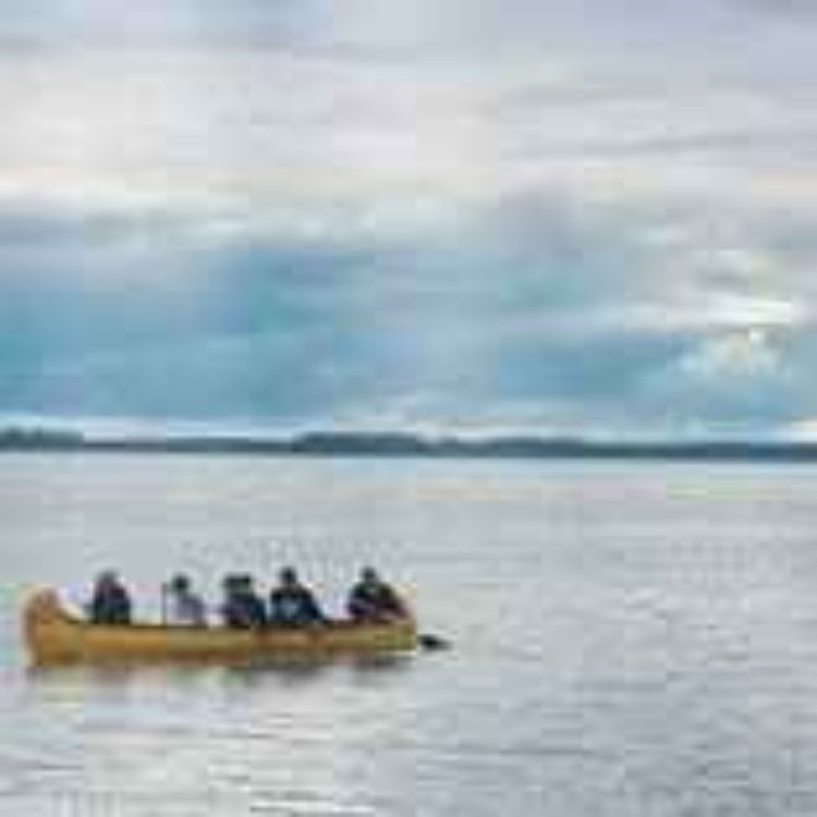 cover art for Alanis Obamsawin - Our People Will Be Healed