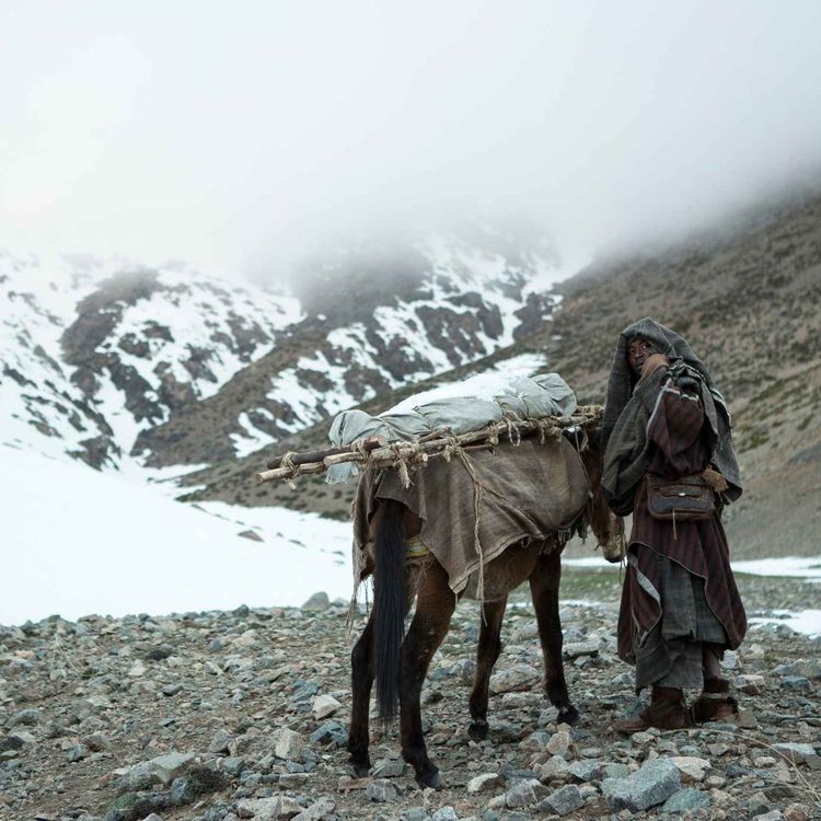 cover art for Mimosas - TIFF 2016 - Oliver Laxe