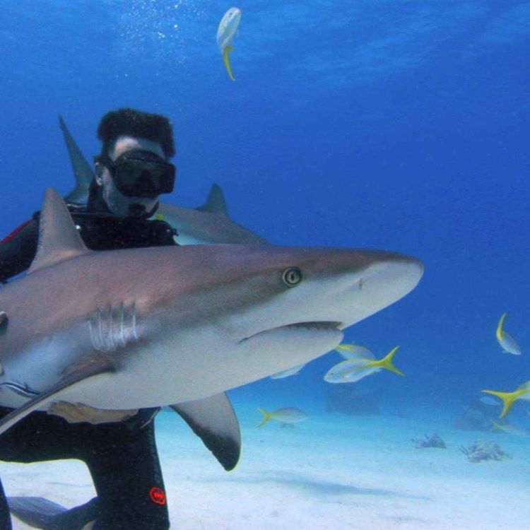 cover art for Rob Stewart