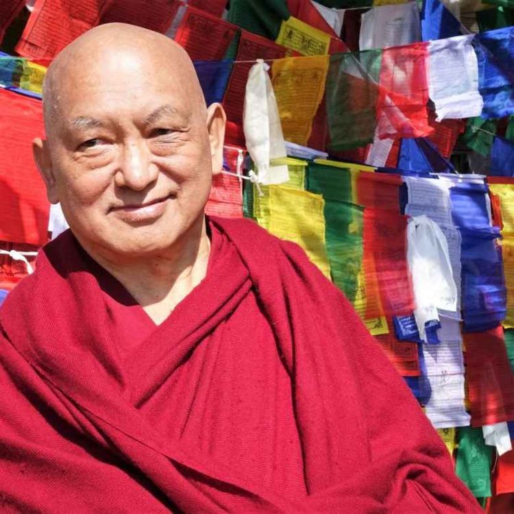 cover art for Drolkar McCallum