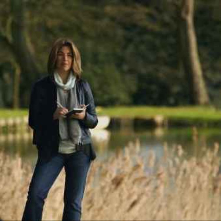 cover art for This Changes Everything - Avi Lewis