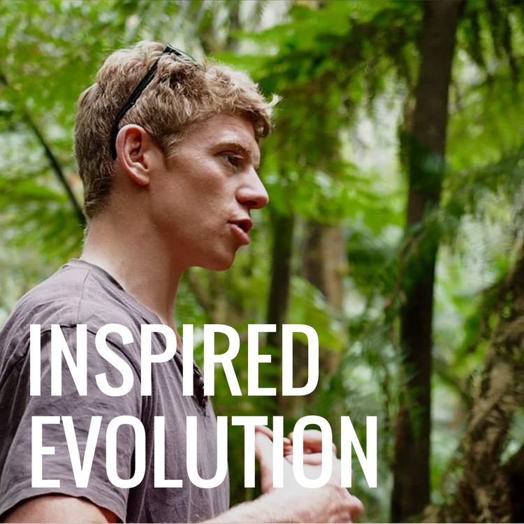 cover art for IE030 Niall McInnes: Mastering Your Fears: Pathways to Emotional Liberation