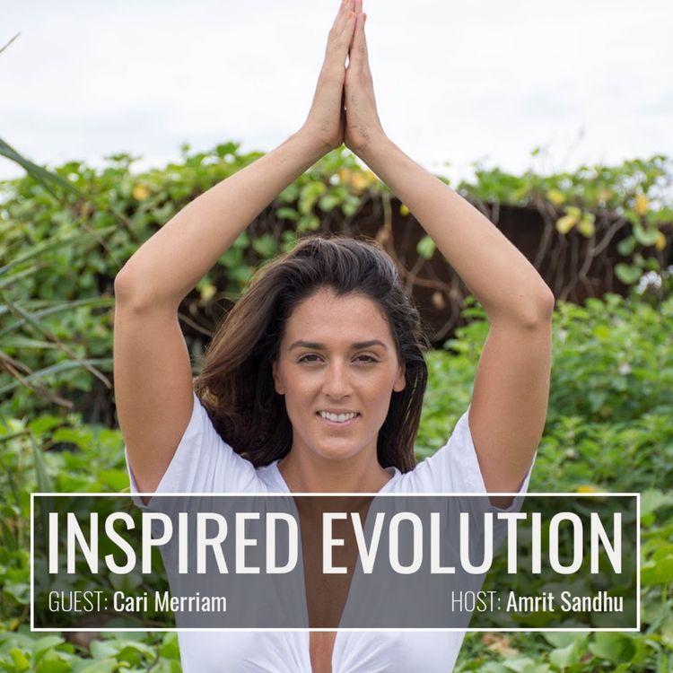 cover art for IE049 Cari Merriam: Activating Abundance: Spiritual Wealth for Business Success