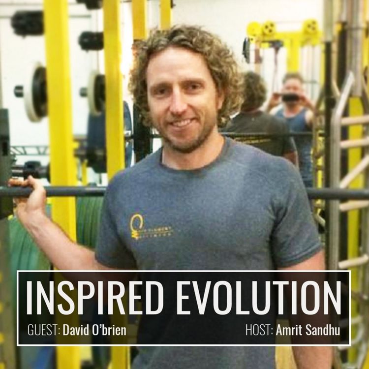 cover art for IE068 Dave O’Brien: Functional Medicine: Fix Your Guts, Fix Your Life, Live Forever II (The Second Episode)