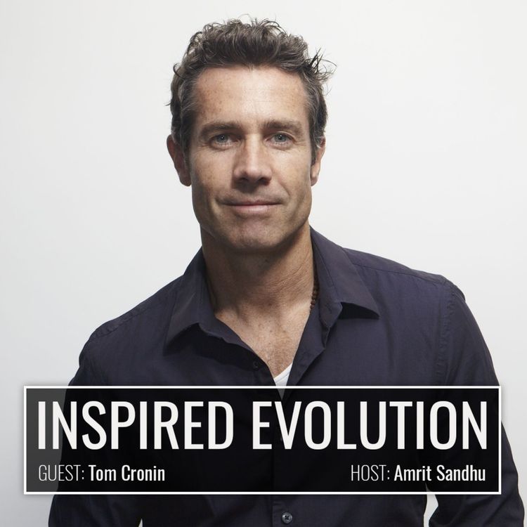 cover art for IE105 Tom Cronin: Vedic Meditation: The Portal to Profound Stillness & Meaning