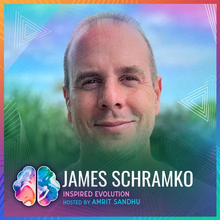 cover art for #1 Business Mentor Reveals Secrets to Earning More While Working Less | James Schramko