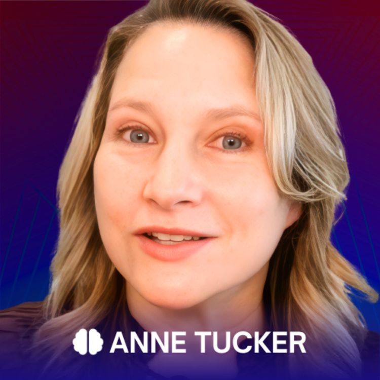 cover art for Anne Tucker: How to Become a Master Manifester and Access Your Full Power in the New Dharmic State