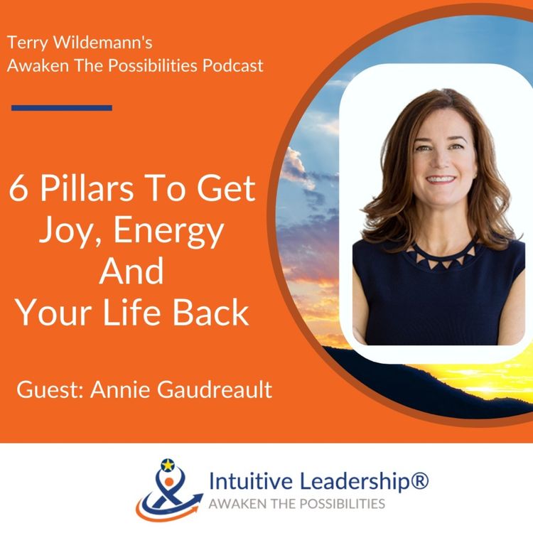 cover art for 6 Pillars To Get Joy, Energy And Your Life Back