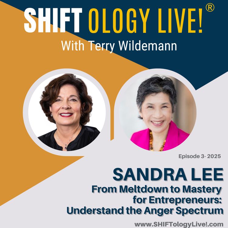 cover art for From Meltdown to Mastery for Entrepreneurs