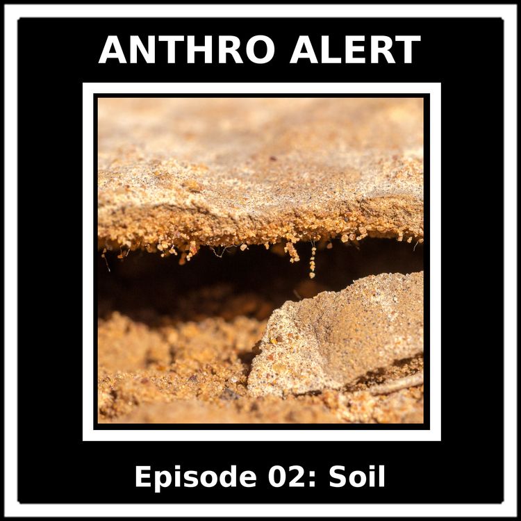 cover art for AnthroAlert on Bulls Radio: Soil