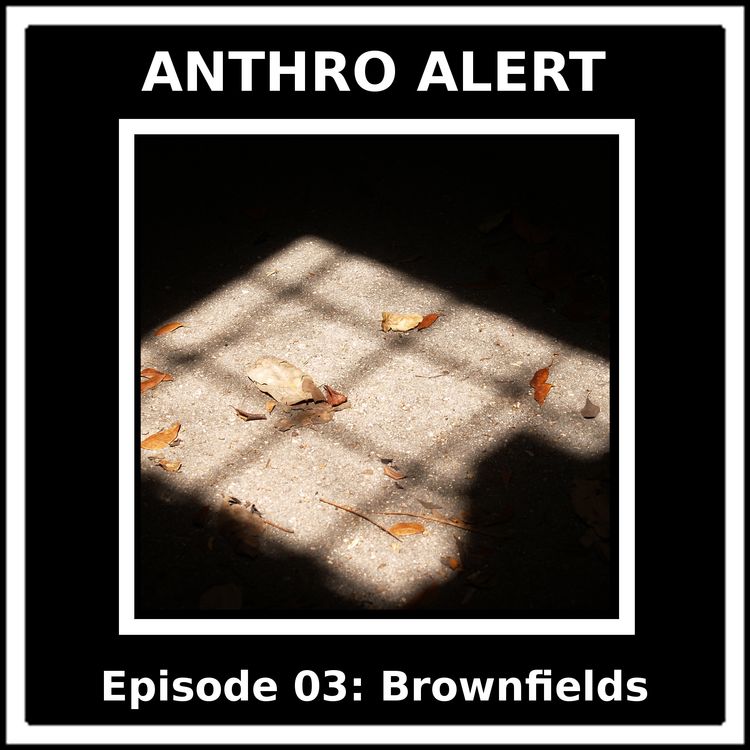 cover art for AnthroAlert on Bulls Radio: Brownfields