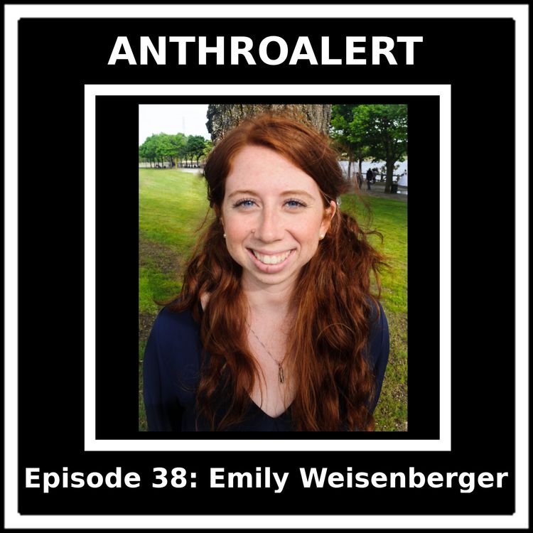 cover art for Episode 38: Racial Justice Activism