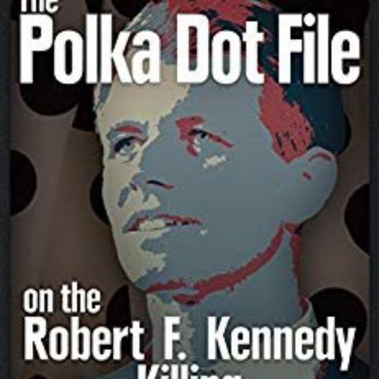 cover art for POLKA DOT FILE -  FERNANDO FAURA (RFK ASSASSINATION SERIES #1)