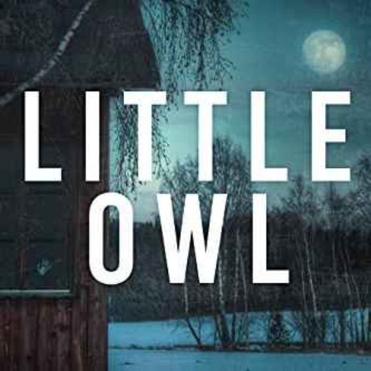 cover art for Lauri Schoenfeld - Little Owl 