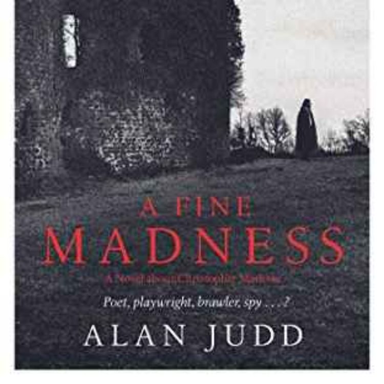 cover art for Alan Judd - A Fine Madness
