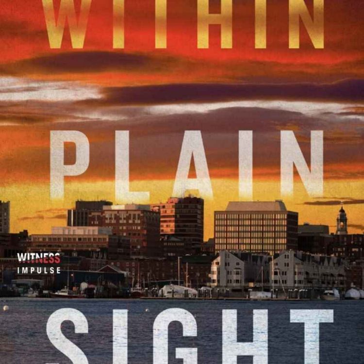 cover art for Bruce Robert Coffin - Within Plain Sight