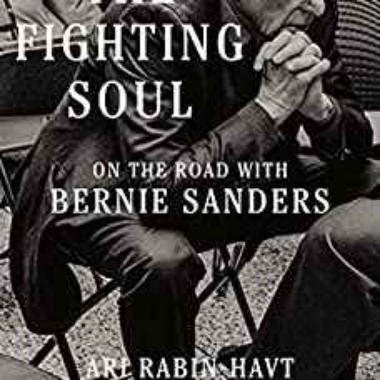 cover art for Ari Rabin-Havt - The Fighting Soul 